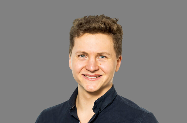 1060 x 710 Lion Krause