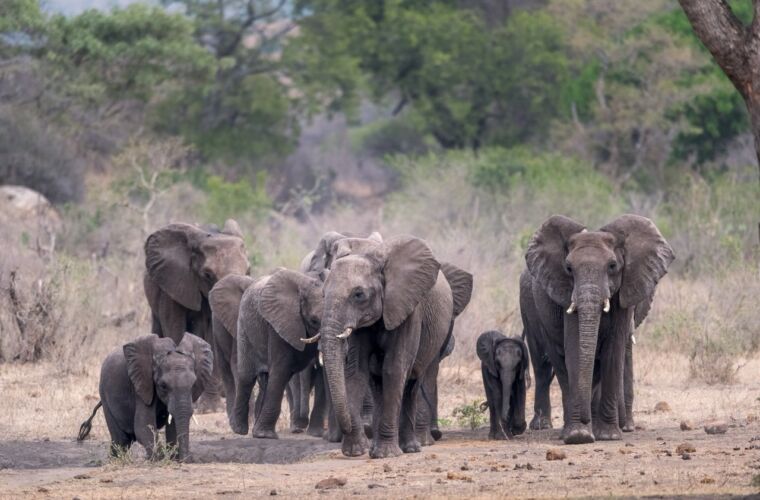 2025 Coaching Accso Moderation und Führung